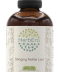 Herb Era Stinging Nettle Leaf B120 Alcohol-Free Herbal Extract Tincture Concentrated Liquid Drops Natural Stinging Nettle (Urtica Dioica) 4 Fl Oz