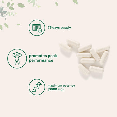 Micro Ingredients D Aspartic Acid Pills DAA Supplement 3000mg Per Serving 300 Capsules Premium D Aspartic Acid Non-GMO