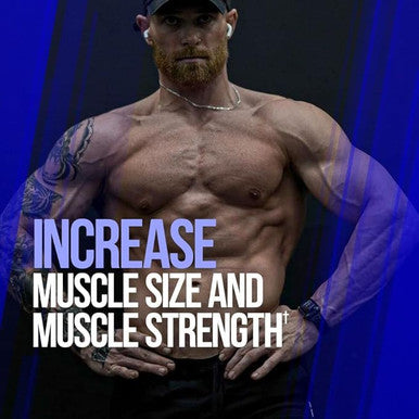 ALPHA LION Gains Candy, Supplement Pills for Muscle Growth, Size, & Strength, Nitric Oxide Booster, Muscle Builder, Use Daily to Upgrade Energy & Workout Performance, 60 Capsules (RipFACTOR )