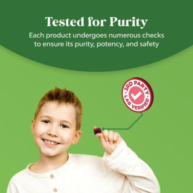 Kids Elderberry Gummies With Zinc And Vitamin C - Delicious Sambucus Black Elderberry Gummies For Kids Immune Support - Daily Kids Immunity Support Gummies Vegan Non-Gmo Gluten And Gelatin Free