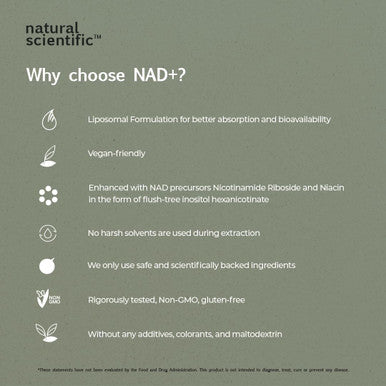 Liposomal Nad Supplement With Nicotinamide Riboside And Niacin - Precursor Formula For Longevity And Cognitive Health - 30-Day Supply - 60 Capsules - Premium Dietary Supplement