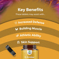 L Lysine 1000mg Nutritional Supplements - L-lysine Essential Amino Acids Supplement for Eye Health Lip Care Bone Support Immune System Support Muscle Growth and Vegetarian Collagen Production