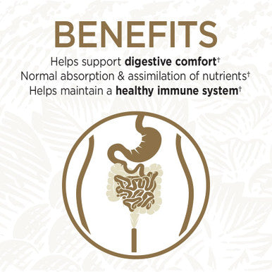Garden of Life Primal Defense Ultra Ultimate Probiotic Formula - 15 Billion Cfu And 13 Strains Of Probiotics Plus Hsos For Healthy Digestive Balance Vegetarian And Gluten Free 60 Capsules