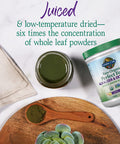Garden of Life Raw Organic Perfect Food Alkalizer & Detoxifier Juiced Greens Superfood Powder & Vegan Protein Powder - Raw Organic Meal Replacement Shakes - Vanilla - Pea Protein