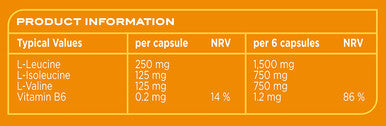 Bcaas 500 Ct
