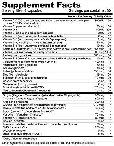 Daily Prenatal Multi Vitamin High Absorption Methyl Folate Coenzyme B Vitamins Iron Bisglycinate 120 Capsules
