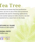 Aura Cacia 100 Pure Tea Tree Essential Oil Organic GC/MS Tested for Purity 7.4 ml 0.25 fl. oz. Melaleuca alternifolia