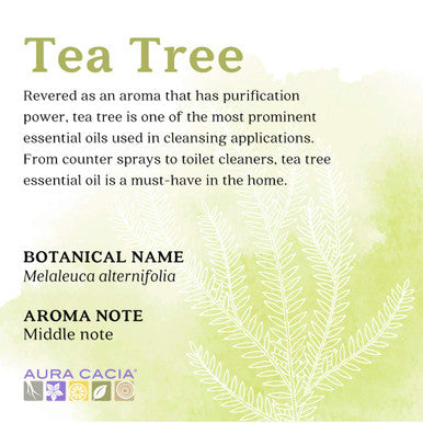 Aura Cacia 100 Pure Tea Tree Essential Oil Organic GC/MS Tested for Purity 7.4 ml 0.25 fl. oz. Melaleuca alternifolia