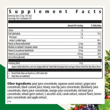 Flora Floradix Iron Herbs Natural Liquid Iron Supplement 17 fl Ounce 500 ML