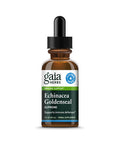 Gaia Herbs Echinacea Goldenseal Supreme Liquid Extract - Immune Support Supplement to Help Maintain Mucus Membrane Function - With Echinacea, Goldenseal Root & St. Johns Wort - 1 Fl Oz (15 Servings)