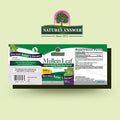Nature'S Answer Mullein Leaf Capsules 90 - Alcohol Vegetarian Vegan Gluten - Mullein capsuels for Lungs Mullein herb - Supports Respiratory Function & Lung Health