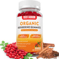 BSSTABBON Berberine Gummies With 2000Mg Berberine Hci 300Mg Organic Ceylon Cinnamon For Men & Women, 60 Raspberry Flavored Vegan Sugar Free Gummies (60 Count)