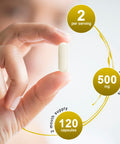 Alliwise Berberine Supplement - 1000Mg Berberine With Ceylon Cinnamon, Milk Thistle & Turmeric Extract, Organic Herbal Formula Support Gastrointestinal Function, Cardiovascular & Glucose Metabolism