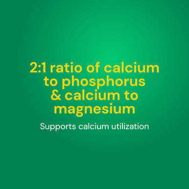 Country Life Target-Mins Calcium Magnesium With Vitamin D-Complex 1000Mg/500Mg/10Mcg 240 Vegan Capsules Certified Gluten Free Certified Vegan Verified Non-Gmo Verified
