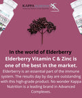 KAPPA NUTRITION Sambucus Elderberry with Vitamin C, Zinc, Vitamin D3 5000 IU & Ginger (120 Capsules) - Antioxidant & Immune Support Supplement, 2 Month Supply - 5 in 1 Black Elderberry for