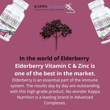 KAPPA NUTRITION Sambucus Elderberry with Vitamin C, Zinc, Vitamin D3 5000 IU & Ginger (120 Capsules) - Antioxidant & Immune Support Supplement, 2 Month Supply - 5 in 1 Black Elderberry for