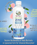 Maryruth Organics Vitamin C & Zinc Immunity Liposomal Bundle | Megadose Vitamin C Liposomal 500mg 7.6oz | Megadose Zinc Liposomal 18mg 15.22oz | Vegan Non-GMO