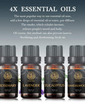Sandalwood Lavender Rosemary Eucalyptus Essential Oil Set - 100% Pure Organic Aromatherapy Essential Oil 4x10mL/0.33oz