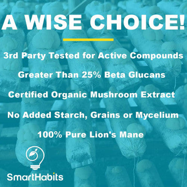 Organic Lion's Mane Mushroom Handpicked, 3rd Party-Tested, Natural Brain, Nerve & Immune System Support. Pure Superfood Nootropic Supplement. Non-GMO, Gluten Free, Vegan,- 1000mg - 60 Capsules