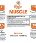 The Smart Muscle Building Bundle with Genius Pre, BCAA, & Muscle Builder