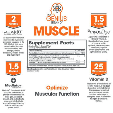 The Smart Muscle Building Bundle with Genius Pre, BCAA, & Muscle Builder