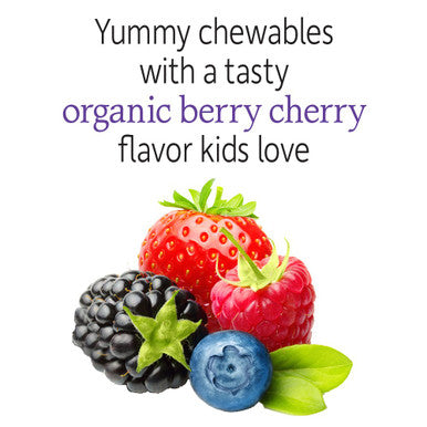 Garden of Life Children & Women Probiotic Bundle: Dr. Formulated Kids+ Berry Cherry Probiotics 5 Billion Cfu 30 Chewables + Once Daily Women S Probiotics 50 Billion Cfu - 30 Capsules Shelf Stable