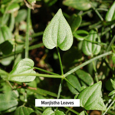 Banyan Botanicals Manjistha Powder, 1 Pound - Usda Organic - Rubia Cordifolia - Cleanses The Blood & Lymph - Ayurveda