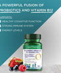 Blueberry Probiotic B12 Energy Melt by Purity Products ProDura Clinical Probiotic Organic Blueberries Methylcobalamin B12 30 Melts