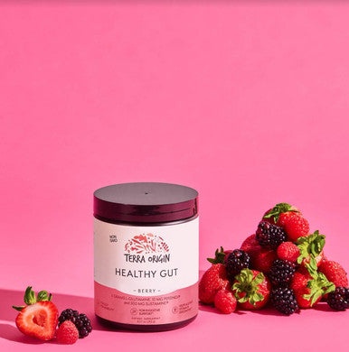 Terra Origin Healthy Gut Powder (Berry Flavor) 30-Servings With L-Glutamine, Zinc, Glucosamine, Slippery Elm Bark, Marshmallow Root And More