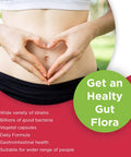 Wampole ProbioMax 15 Billion Probiotics Healthy Gut Flora & Immune System 60 Vegetal Capsules