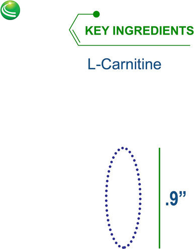 Nutra BioGenesis - L-Carnitine - L-Carnitine Supplement - Gluten Free, Vegan, Non-GMO - 60 Capsules