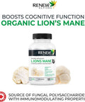 Renew Actives Organic Lions Mane Mushroom Supplement - 40% Polysaccharides, Immune Wellness & Rich In Antioxidant - 120 Capsules