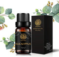Aromatherapy Essential Oils, Eucalyptus Aromatherapy Essential Oils (0.33 oz - 10ml), 100% Pure Essential Oils Eucalyptus Scent for Diffuser, Humidifier, Massage, Aromatherapy, Skin & Hair Care