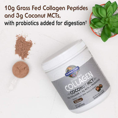 Garden of Life Grass Fed Collagen Coconut Mct Powder - Chocolate 24 Servings Collagen Peptides Powder For Energy Hair Skin Nails Joints Coconut Mcts Probiotics Collagen Protein Powder Supplement