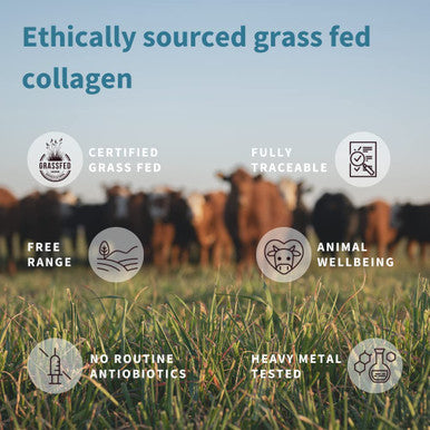 Pure & Essential 100% Grass Fed Bovine Collagen Protein Powder, Advanced Hydrolyzed Collagen Peptides, Collagen Types 1, 2 & 3, Non-GMO, Free Range, Gluten & Dairy Free, Easy Mix, 40 Servings