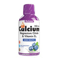 Bluebonnet Nutrition Liquid Calcium Citrate Calcium Citrate Magnesium Citrate Vitamin D3 Bone Health Gluten Free Soy Free Milk Free Kosher 32 Servings Strawberry Flavor 16 Fl Oz (Pack of 1)