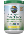 Garden of Life Super Greens Powder Smoothie & Mix Probiotics & Digestive Enzymes For Digestive Health Organic Superfoods Nutrition Fruit And Vegetables For Women & Men Energy Original 60 Servings