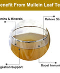 Fullchea -Mullein Leaf Tea Bags 20 Teabags 3g/bag For Lungs - Non-GMO - Caffeine- - Natural Healthy Herbal Tea For Detox & Respiratory Support