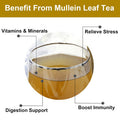 Fullchea -Mullein Leaf Tea Bags 20 Teabags 3g/bag For Lungs - Non-GMO - Caffeine- - Natural Healthy Herbal Tea For Detox & Respiratory Support