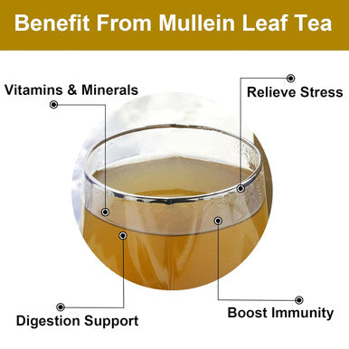 Fullchea -Mullein Leaf Tea Bags 20 Teabags 3g/bag For Lungs - Non-GMO - Caffeine- - Natural Healthy Herbal Tea For Detox & Respiratory Support