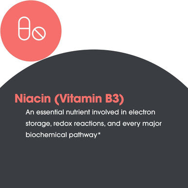 Allergy Researcg Group Niacin Supplement - Vitamin B3 For Men & Women, Niacin With Flush, Nicotinic Acid, Nad, 250Mg Vegetarian Capsules - 90 Count