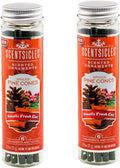 Scentsicles Spiced Pine Scented Ornaments with Hooks - 2 Bottles (12 Sticks Total)