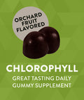 Nature'S Way Chlorophyll Gummies, Internal Deodorant*, Supports Healthy Skin And Body Detox*, Orchard Fruit Flavored, 60 Gummies
