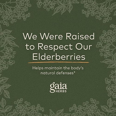 Gaia Herbs Black Elderberry Syrup 5.4 Ounce