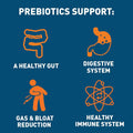 Dr. Tobias Prebiotics Deep Immune Probiotics for Immune Support Gut Health