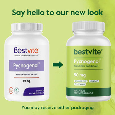 Bestvite Pycnogenol 50mg (120 Capsules) (60x2) - French Maritime Pine Bark Extract - No Stearates - Gluten - Non GMO