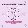 Lectin Defense by GoBiotix Blocker for Interfering Dietary Lectins Aids in Intestinal Health w/ Immune Support Digestive Enzyme Supplement for Women Men NonGMO Gluten Free 60 Caps