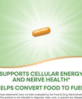 NatureS Way B100 Complex Supports Cellular Energy And Nerve Health 8 BVitamins 60 Capsules (Packaging May Vary)