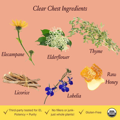 Urban Moonshine Clear Chest Syrup - Helps Support Healthy Bronchial System* - Elecampane & Thyme* - Daily Respiratory Support* - Immune Support Supplement* - Gluten Herbal Supplement - 4.2 Fl Oz