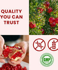 Pomegranate Peel Powder Punica granatum 200g 7 Oz Ayurvedic Herbal Supplement